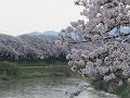 津軽よされ節 唄 調子:4本(2尺)