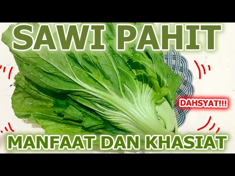 Sayur Pahit Medan
