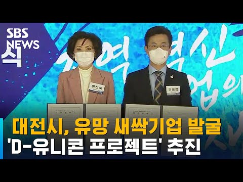 대전시, 유망 새싹기업 발굴 'D-유니콘 프로젝트' 추진 / SBS