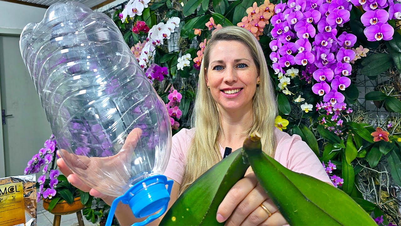 Com apenas uma GARRAFA PET você faz a sua orquídea ENCHER DE RAÍZES