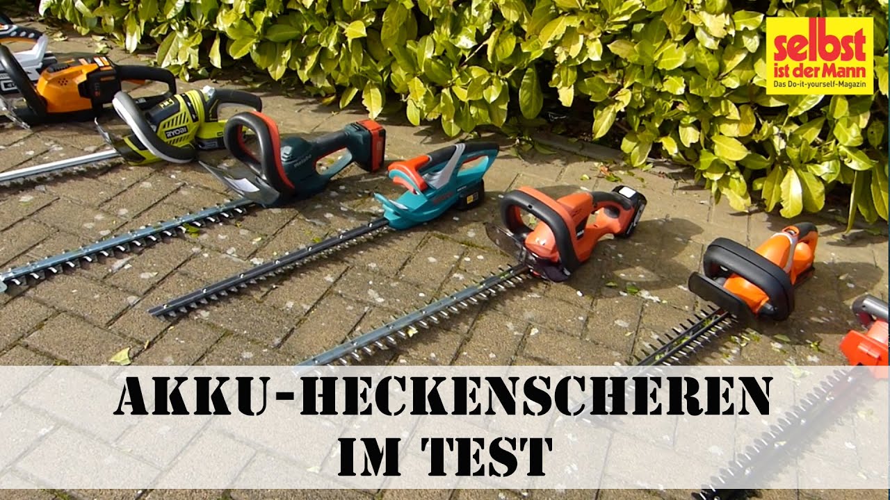 Darts Kreis Bombe akku heckenschere norma test Sau PostImpressionismus