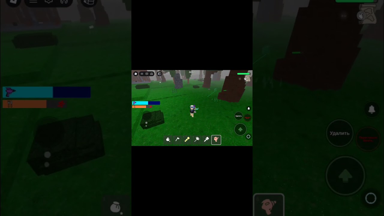 Кралик убежал😭 