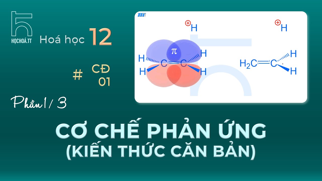 Cơ chế Phản ứng - Kiến thức Căn bản (1/3)
