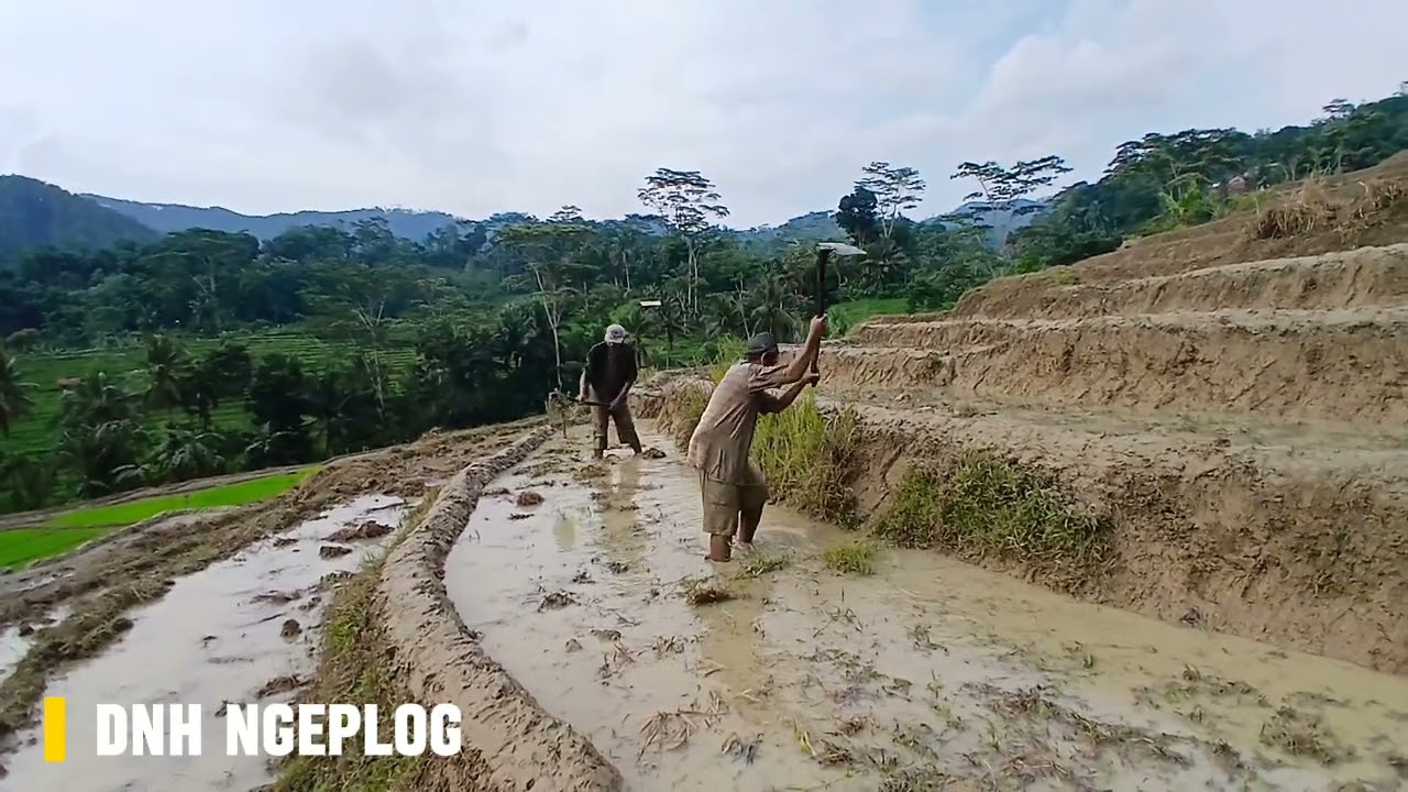 Melihat aktivitas warga di pedesaan 