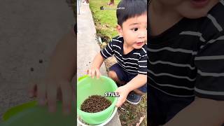He Fed All The Fish At Once 