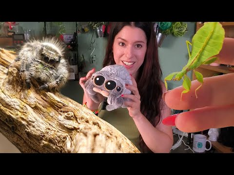A JUMPING GIRL AND OTHER CAMOUFLAGE GREATER 🍂 | Daden Reptilera