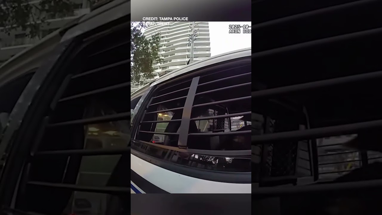 Missing Dog and Owner Reunited After 7-Year Search