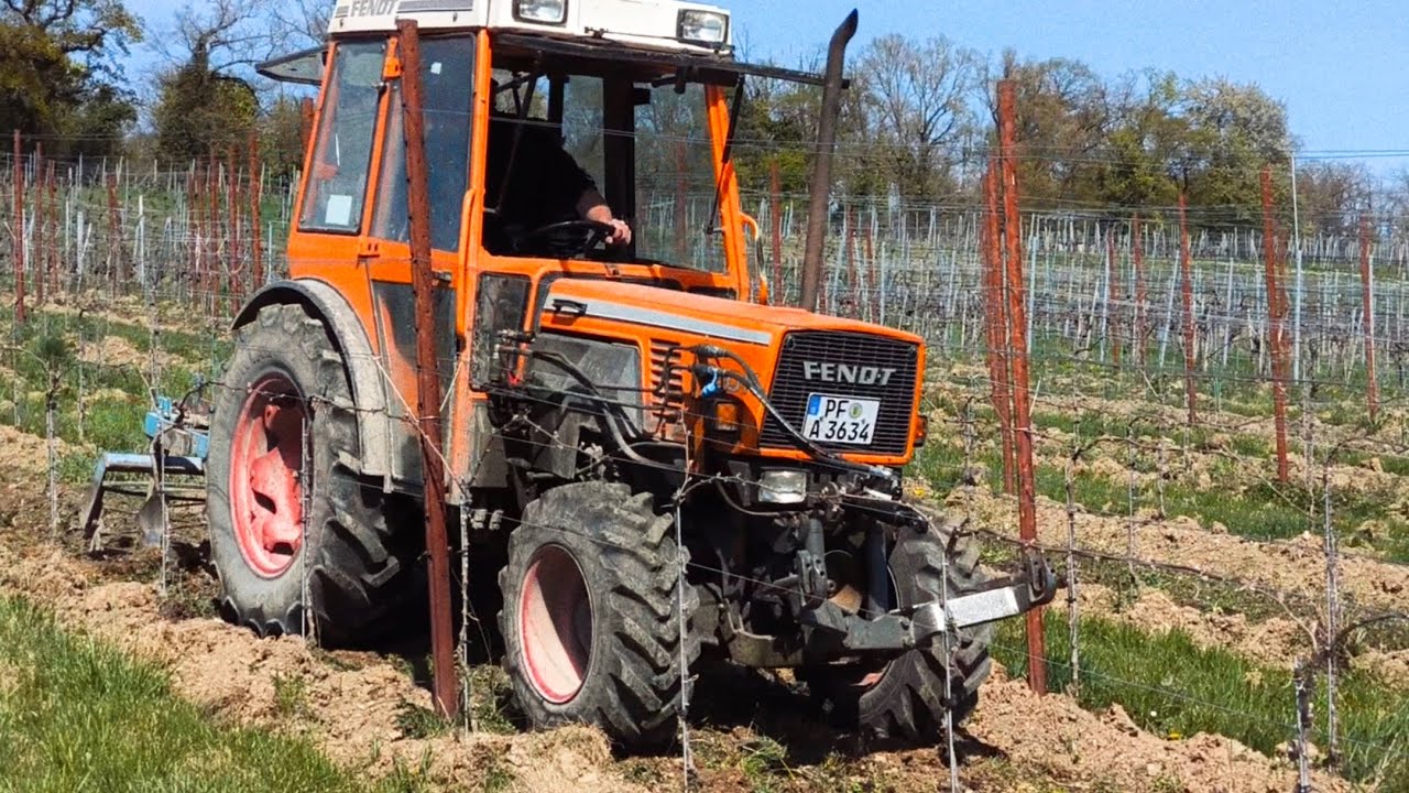 Fendt 250V K am Grubbern im Weinberg