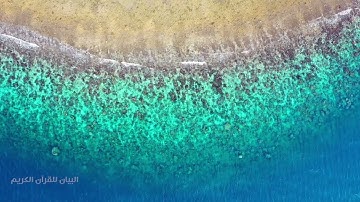 سورة النساء للشيخ عبد الرشيد صوفي