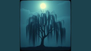 Willows Shadow