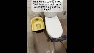What would you do ? The African bl00d in me screams…. #scary #scarystories