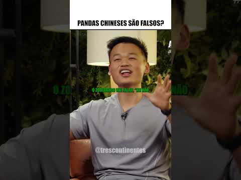 PANDAS DA CHINA SÃO FALSOS!
