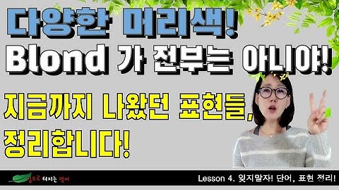 Lesson 4 잊지말자! 단어, 표현 정리 (머리색 위주)