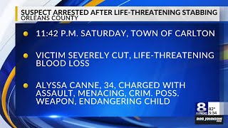 Domestic incident in Orleans Co. leaves victim with 'life-threatening' blood loss, woman arrested