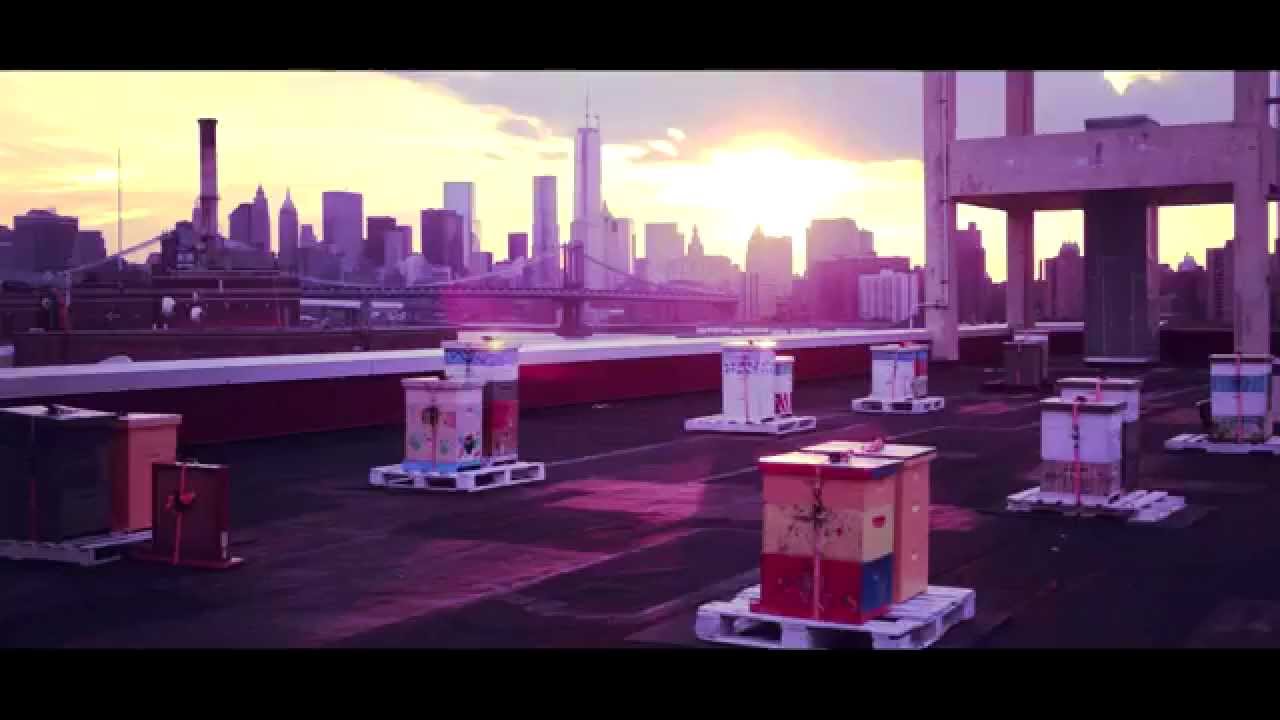 Watch B°11 - Brooklyn on YouTube Watch B°11 - Brooklyn on YouTube
