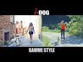 Gamme style idog