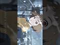 This Scene Ft Hurts So Good Josee The Tiger And The Fish Shorts Anime 
