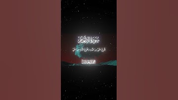 سورة الأنعام|95|القارئ:#محمد_اللحيدان #قران #quran #راحة_نفسية #قران_كريم #تلاوة_هادئة ##تلاوة_خاشعة