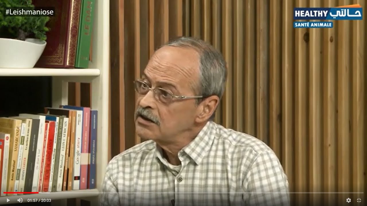 Leishmaniose داء الليشمانيات