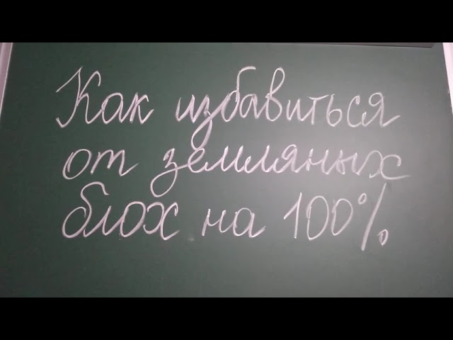 Как избавиться от земляных блох на 100 процентов. 27 июля 2021 г.