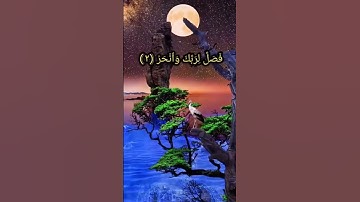 سوره الكوثر  اكتب شيء تؤجر عليه #اكسبلور_explore #المصحف
