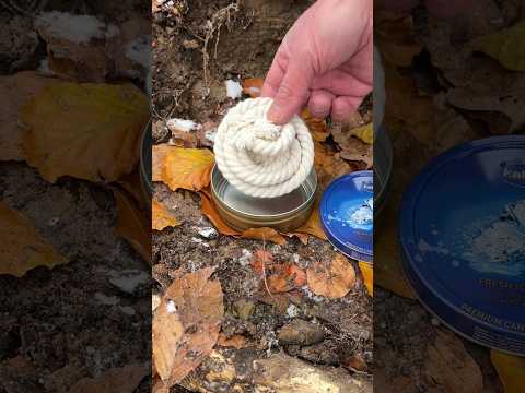Survival Skills: Kindling for a Wilderness CAMPFIRE 🔥 #survival #camping #lifehacks #skills