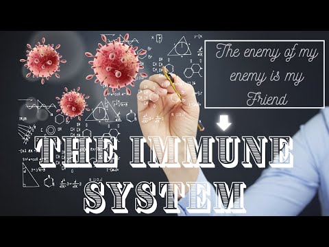 immuntymatters