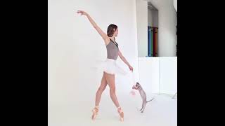 Amazing Cats and Beautiful Ballet Dancers Unite, and it’s Epic! Watch what happens! by Cat Boss TV 93 views 2 years ago 1 minute, 28 seconds