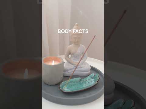 How Many Smells Can You SMELL Shorts