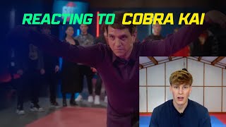 Karate black belt REACTS to Cobra Kai FIGHT SCENES