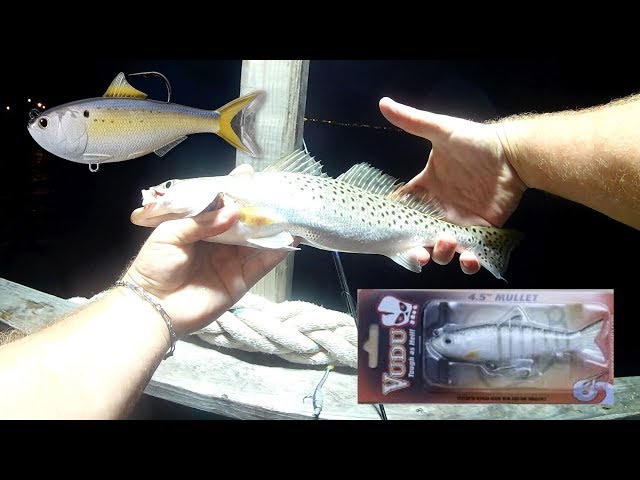 Fishing for speckled trout using Egret Baits Vudu Mullet & Live target  menhaden Trident Fishing 