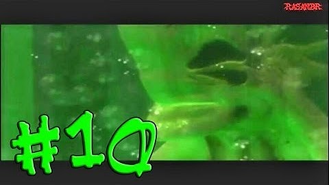 Countdown Vampires (PS1) walkthrough part 10