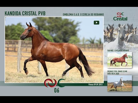 Kandida Cristal PVB