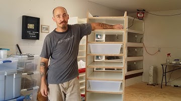 Building An Adult Ball Python Rack!!!