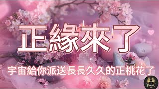 Universe sends soul mates to you, Pink Crystal Energy Ritual,  Law of Attraction Meditation Music