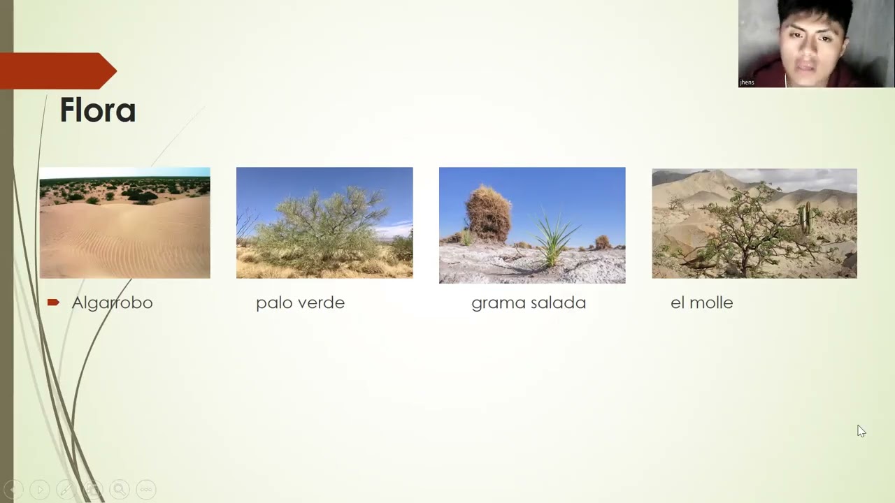 individuo medio ambiente jhens brayan valerio huaman