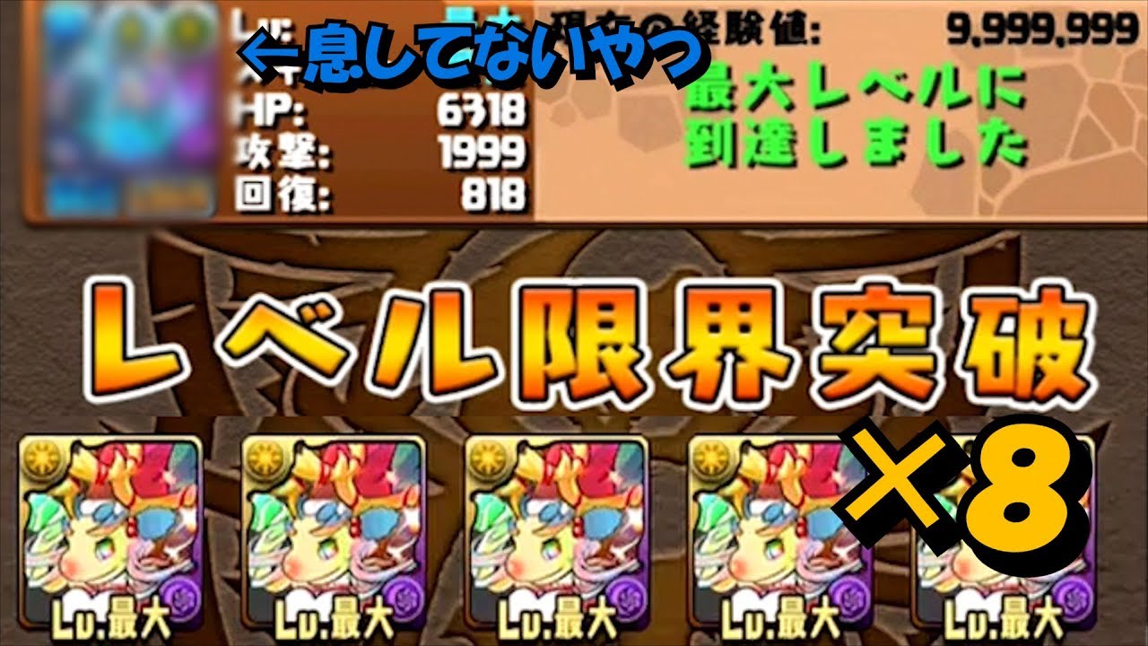 パズドラ スーパー ノエル ドラゴン