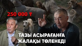 Қазақтың итін құртқан кім? І Тазының патенті қазақта емес