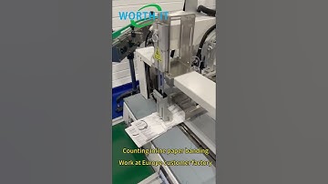 Counting inline paper banding Work at Europe customer factory #bandingmachine #packagingmachine