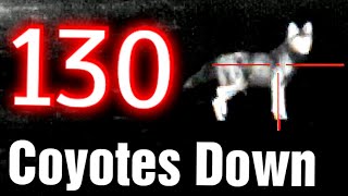 130 Coyotes Down Top Thermal Hunting Video New 2023 Atn Thor 4