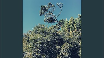 Breathtaking Backdrops for Finding Clarity