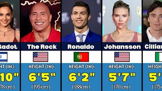 🧑 Height of World Famous Celebrities in 2024 || Tallest and Shortest Celebrities #celebrity #height