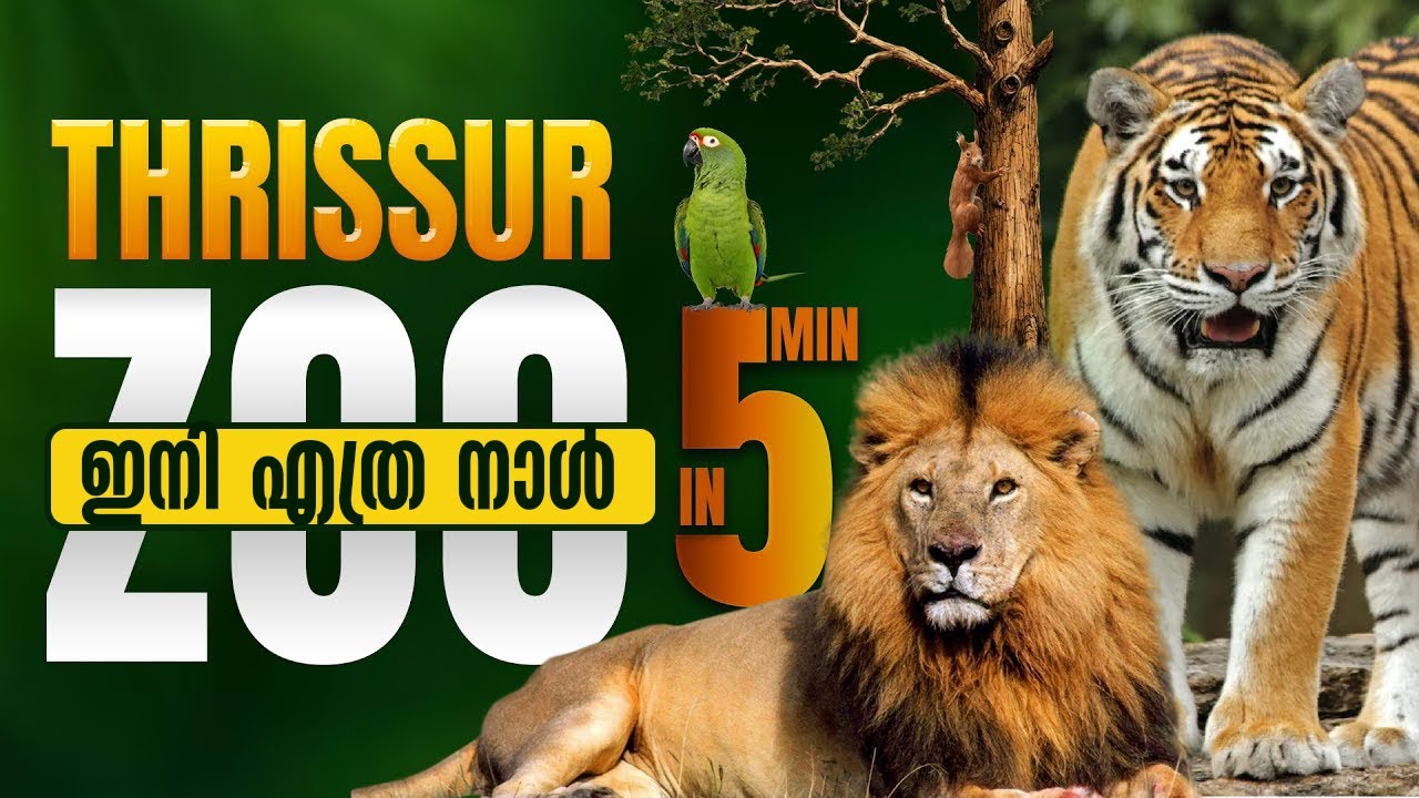 തൃശൂർ മൃഗശാലയിലെ അവസാന കാഴ്ചയിലേക്ക് | Thrissur Zoo | One day trip in Thrissur