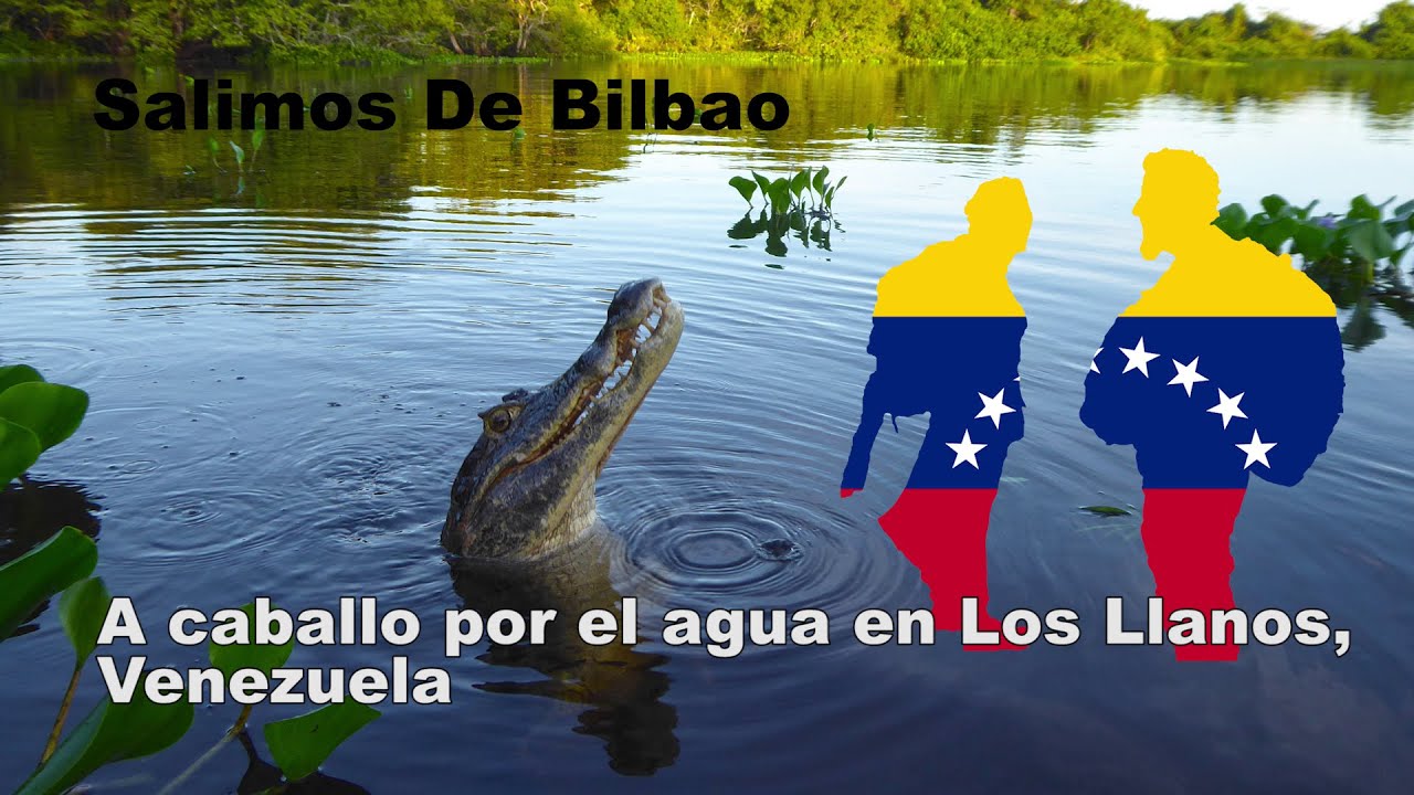 🐻🐊 Safari Venezolano a Caballo por Los Llanos, Venezuela