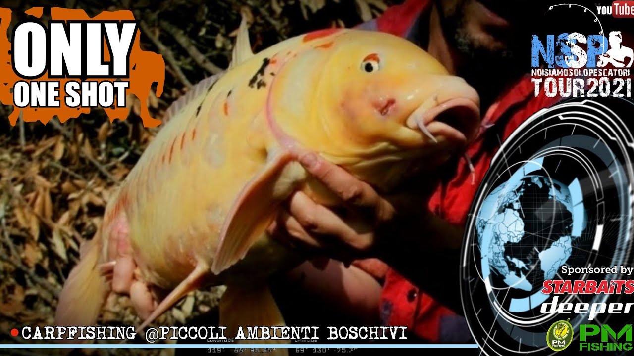 2] #ONLY ONE SHOT - Carpifishing @Piccoli ambienti boschivi -Tour 2021