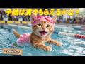 【大逆転】水が怖くて震えていたここにゃん…まさかの“天才スイマー”覚醒に会場騒然！🌊😱