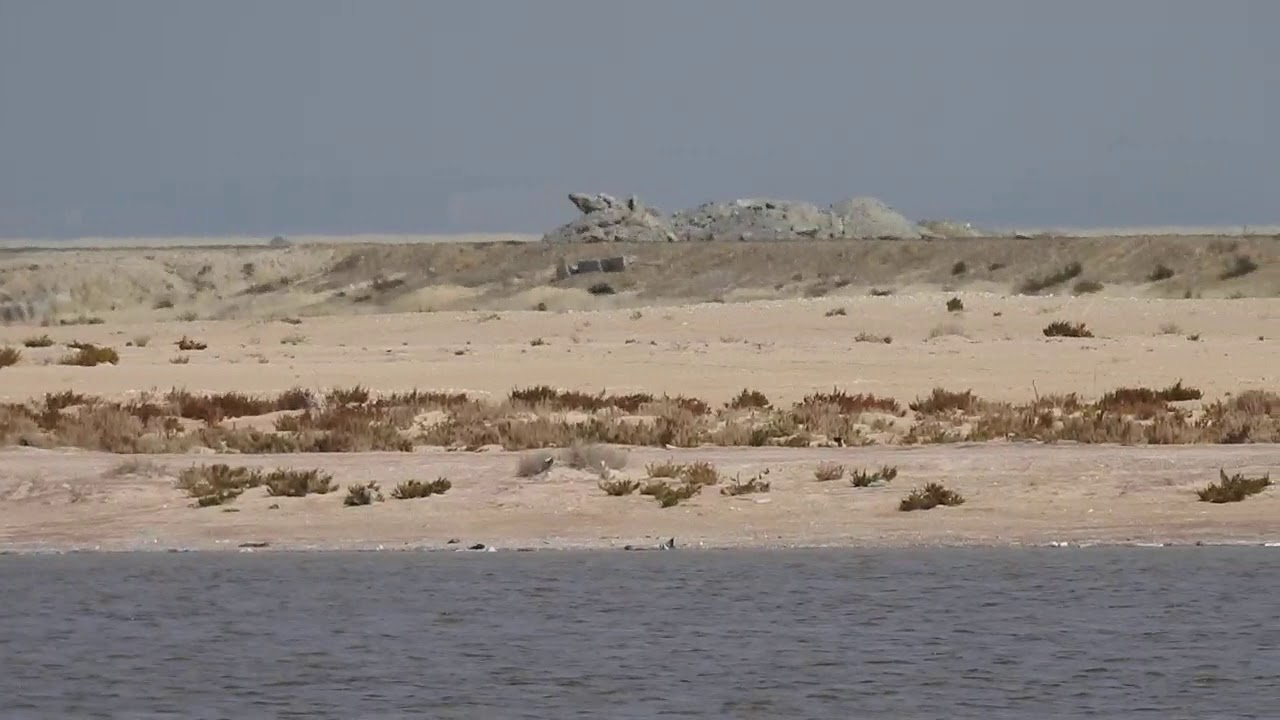 المنظر من كورنيش جده الجنوبي 1