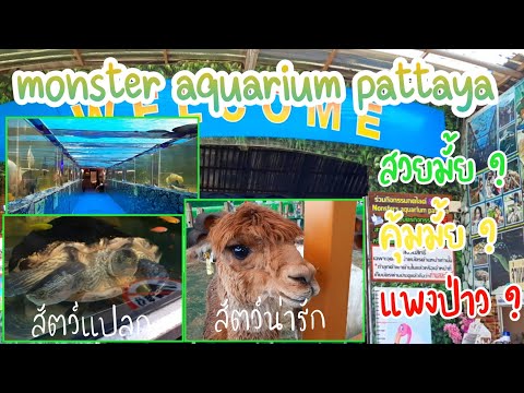 เที่ยวมั้ย -  พาชม Monster Aquarium Pattaya สัตว์เพียบ คุ้มค่าทุกบาท !!!