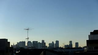 【Sunrise】Time Lapse at Shinjuku Tokyo Japan 2021/12/19 #Shorts