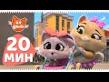 44 Котёнка | 20 МИНУТ с малышкой Хоуп